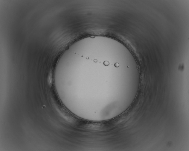 X0000091680069200708231117