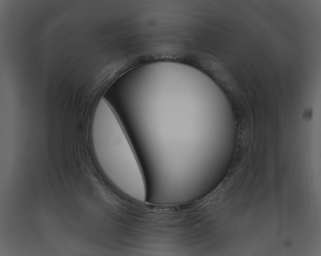 X0000091680070200708231117