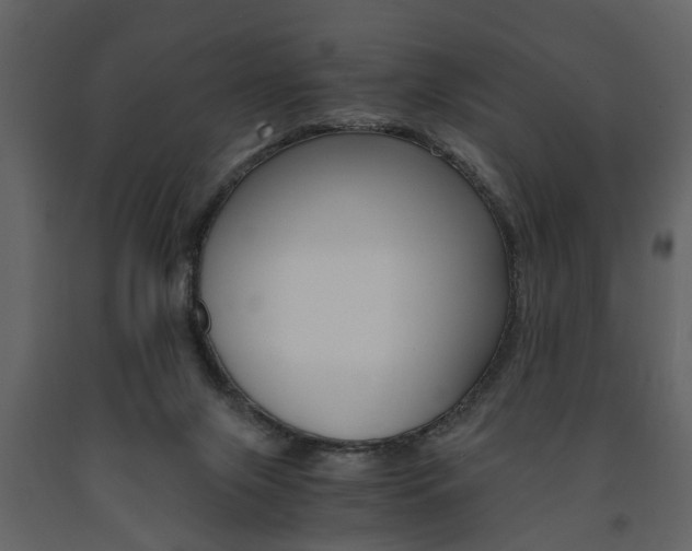 X0000091680071200708231117