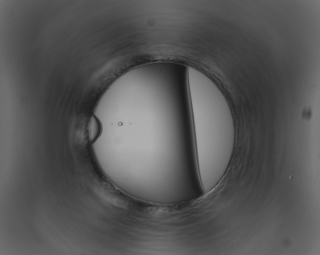 X0000091680074200708231117
