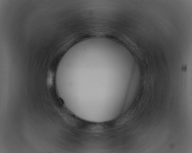 X0000091680075200708231117