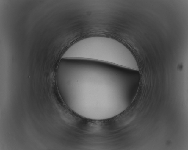 X0000091680079200708231117