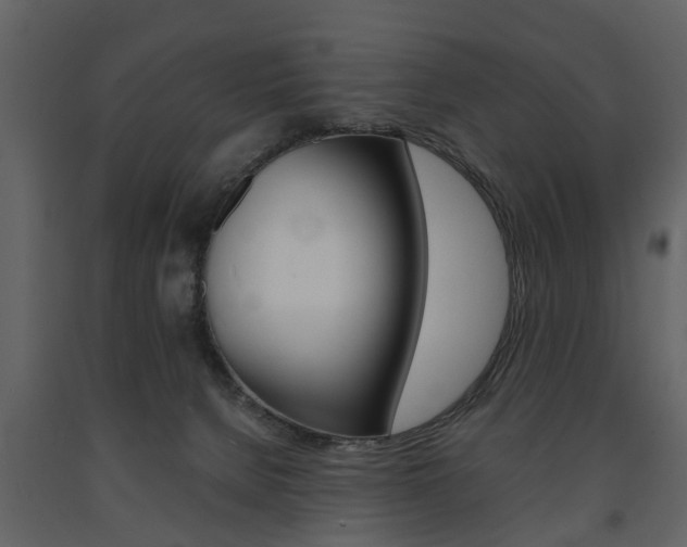 X0000091680080200708231117