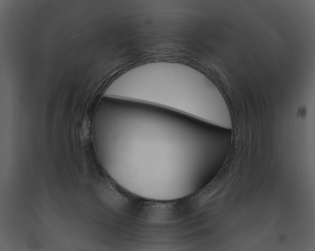 X0000091680081200708231117