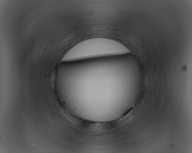 X0000091680082200708231117
