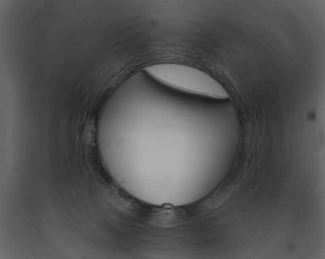 X0000091680083200708231117