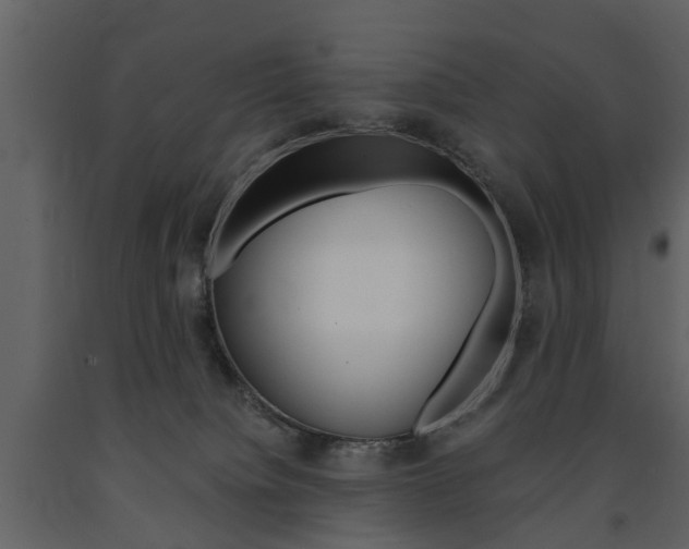 X0000091680084200708231117