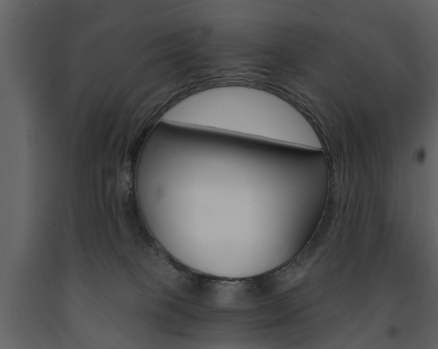 X0000091680085200708231117
