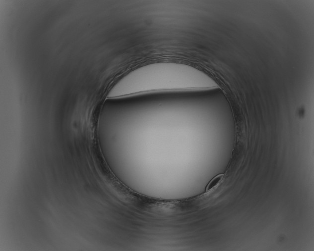 X0000091680086200708231117