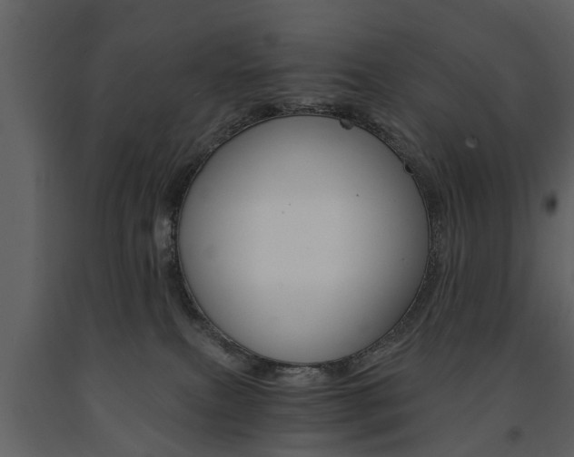 X0000091680087200708231117