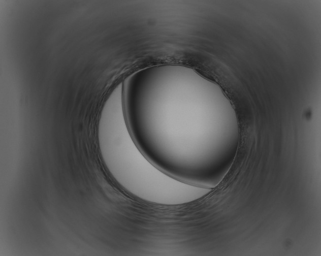 X0000091680088200708231117