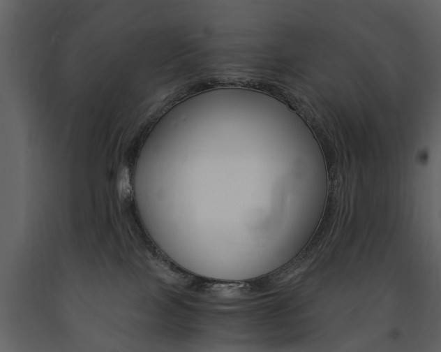 X0000091680089200708231117