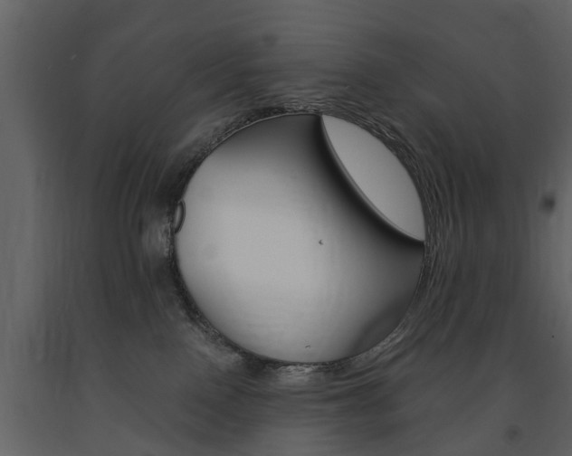 X0000091680090200708231117