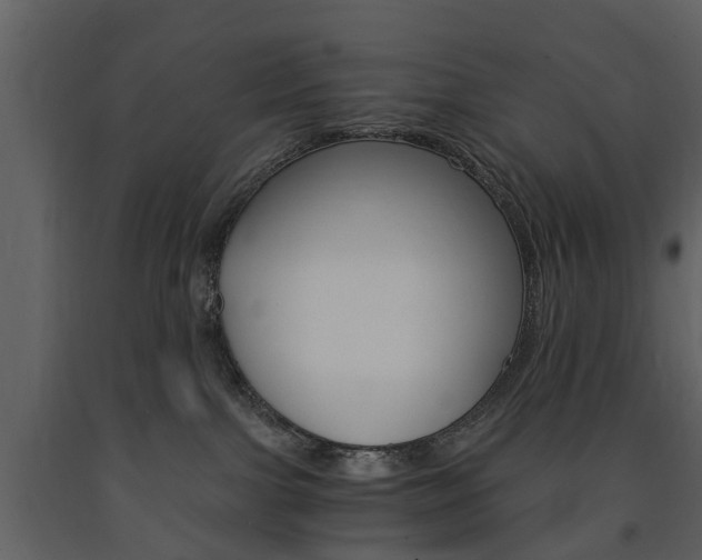 X0000091680091200708231117