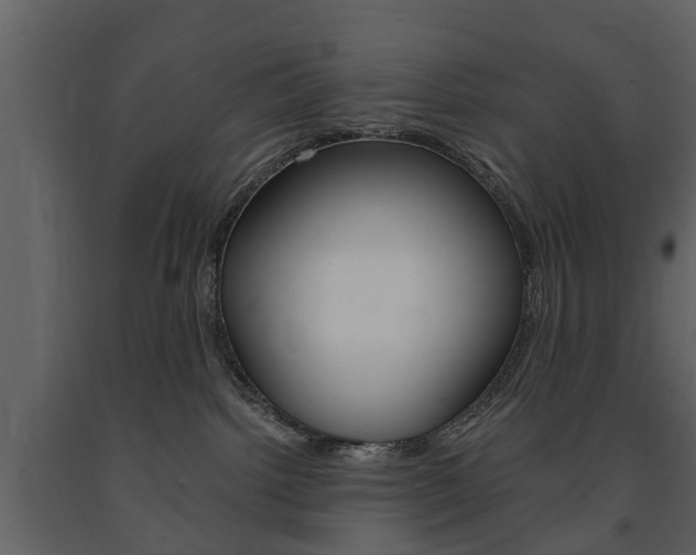 X0000091680092200708231118