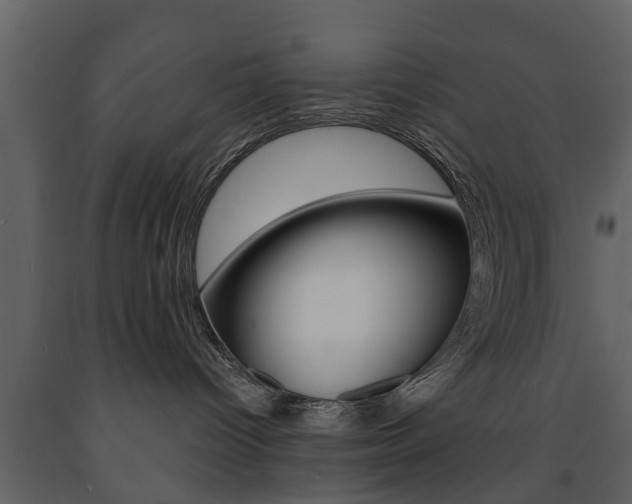 X0000091680096200708231118