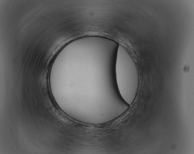 X0000091680098200708231117