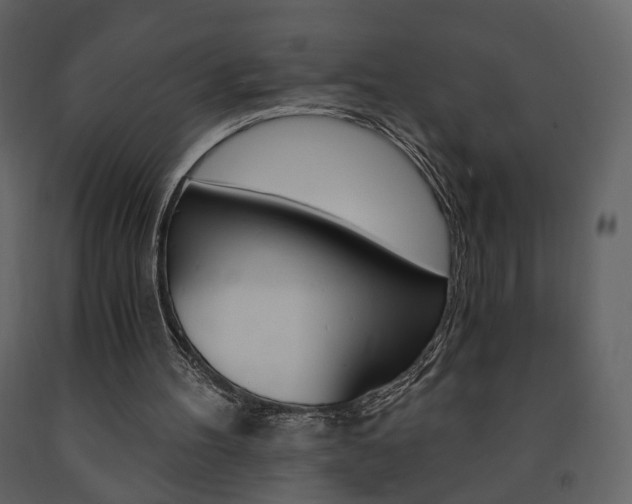 X0000091680100200708231117