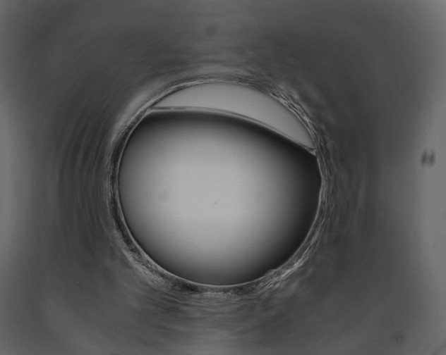 X0000091680101200708231117