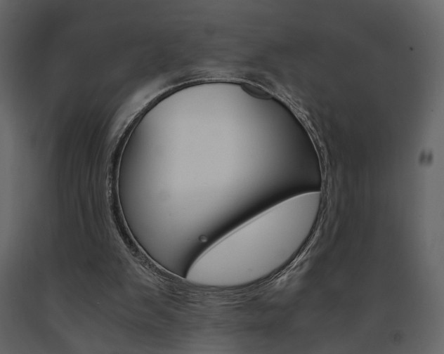 X0000091680103200708231117