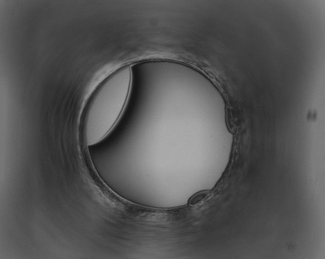 X0000091680104200708231117