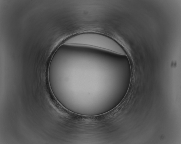 X0000091680107200708231117