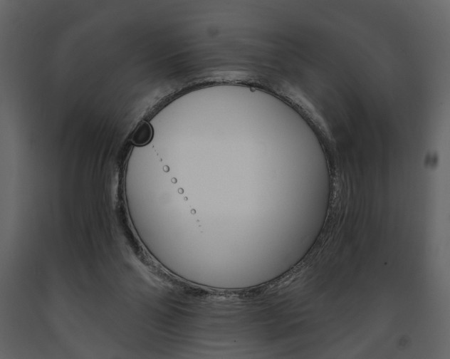 X0000091680110200708231117