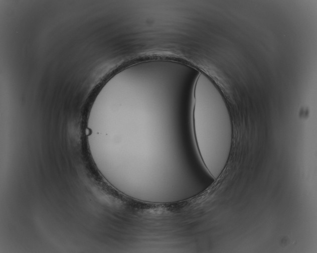 X0000091680112200708231117