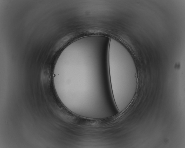 X0000091680116200708231117