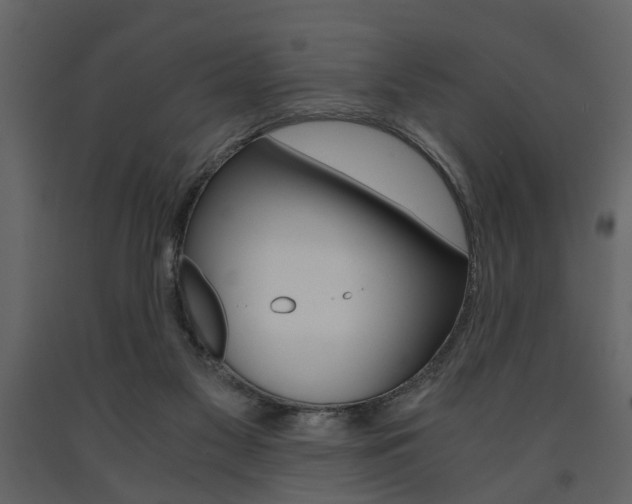 X0000091680117200708231117