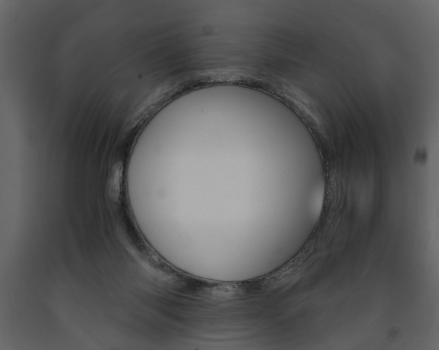 X0000091680118200708231117