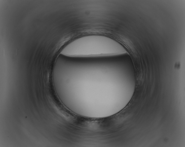 X0000091680120200708231117