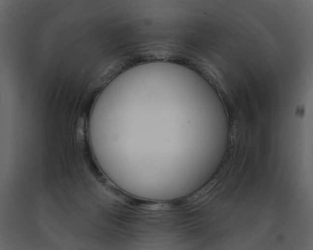 X0000091680122200708231117