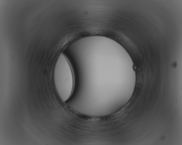 X0000091680124200708231117