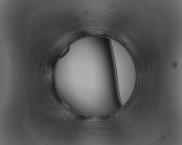 X0000091680125200708231117