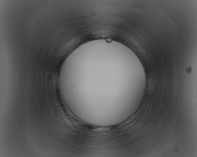 X0000091680126200708231116