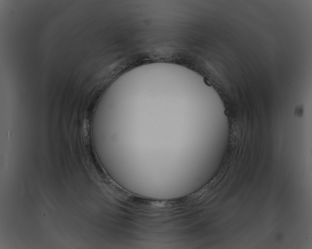 X0000091680130200708231116