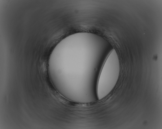 X0000091680131200708231116