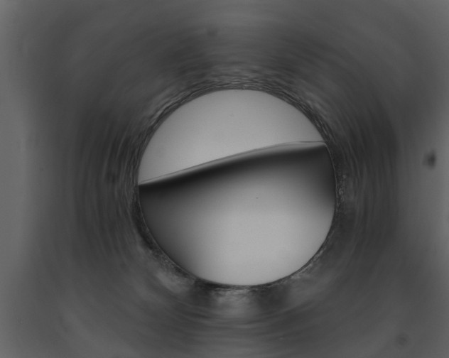 X0000091680132200708231116
