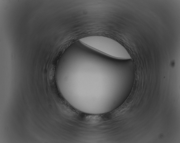 X0000091680133200708231116