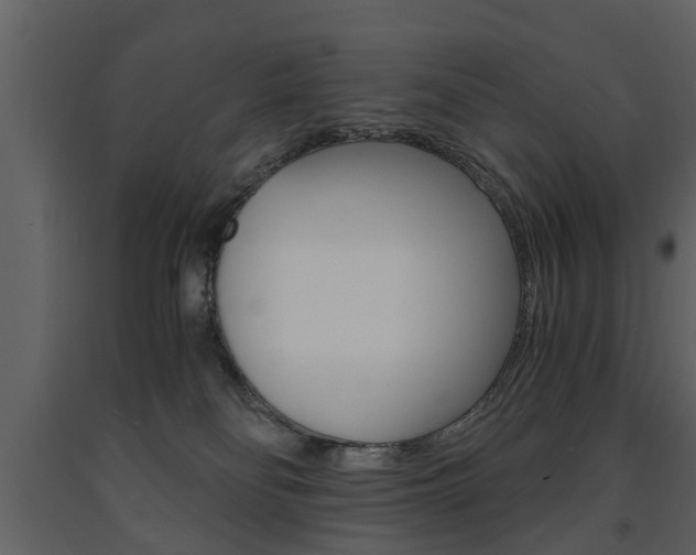 X0000091680134200708231116