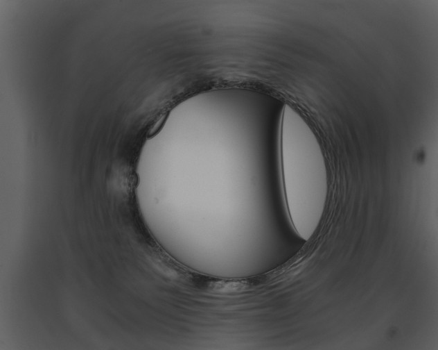 X0000091680135200708231116
