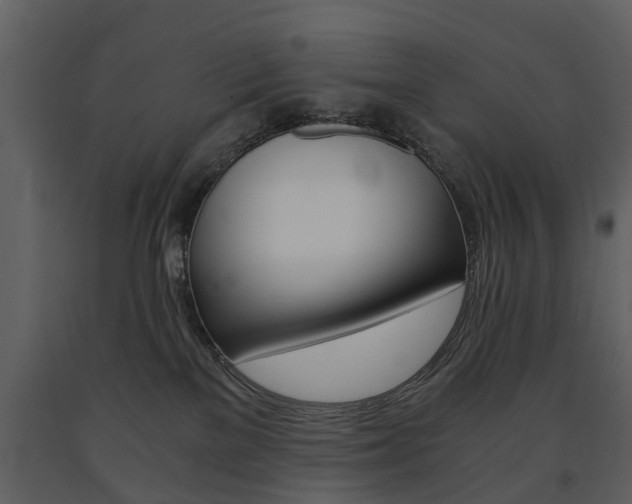 X0000091680137200708231116
