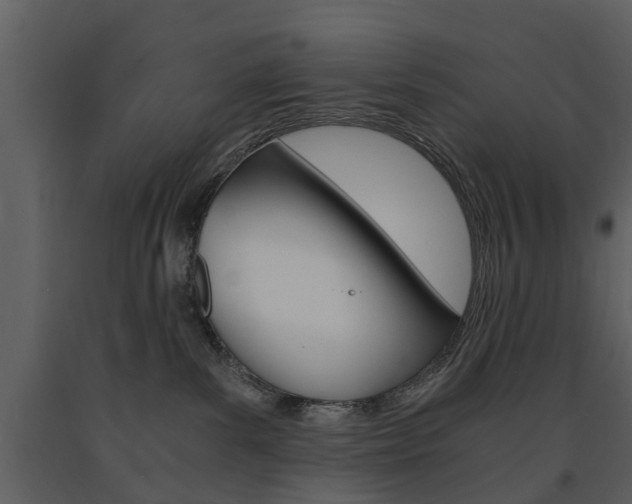 X0000091680139200708231116
