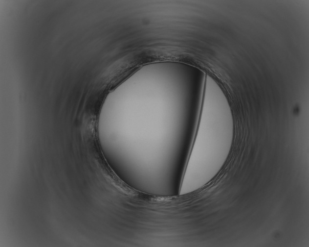 X0000091680141200708231116