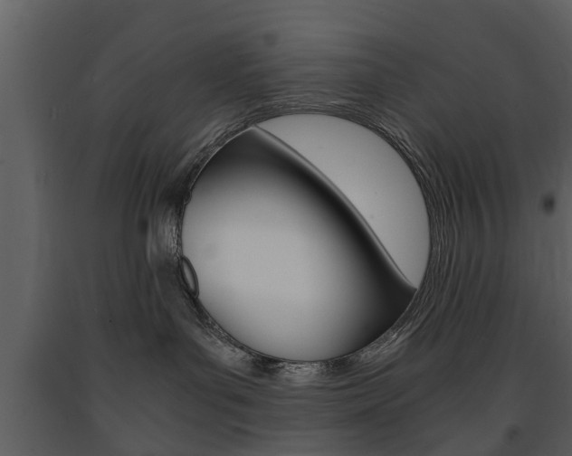 X0000091680143200708231116