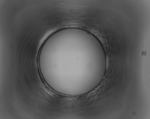 X0000091680147200708231115