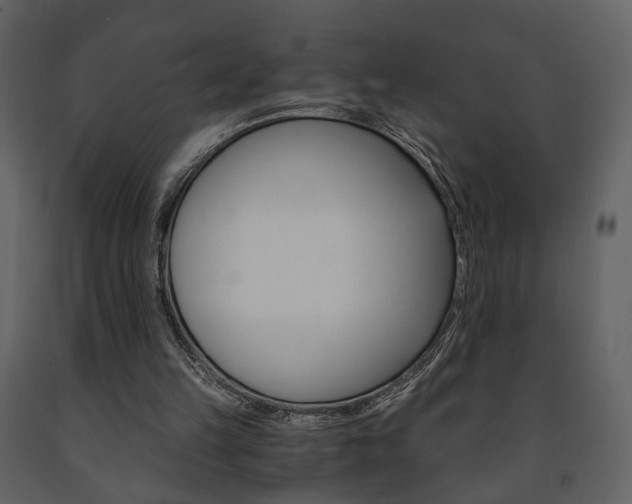 X0000091680149200708231115