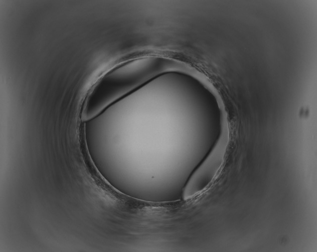 X0000091680150200708231115