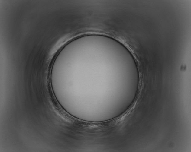 X0000091680151200708231116